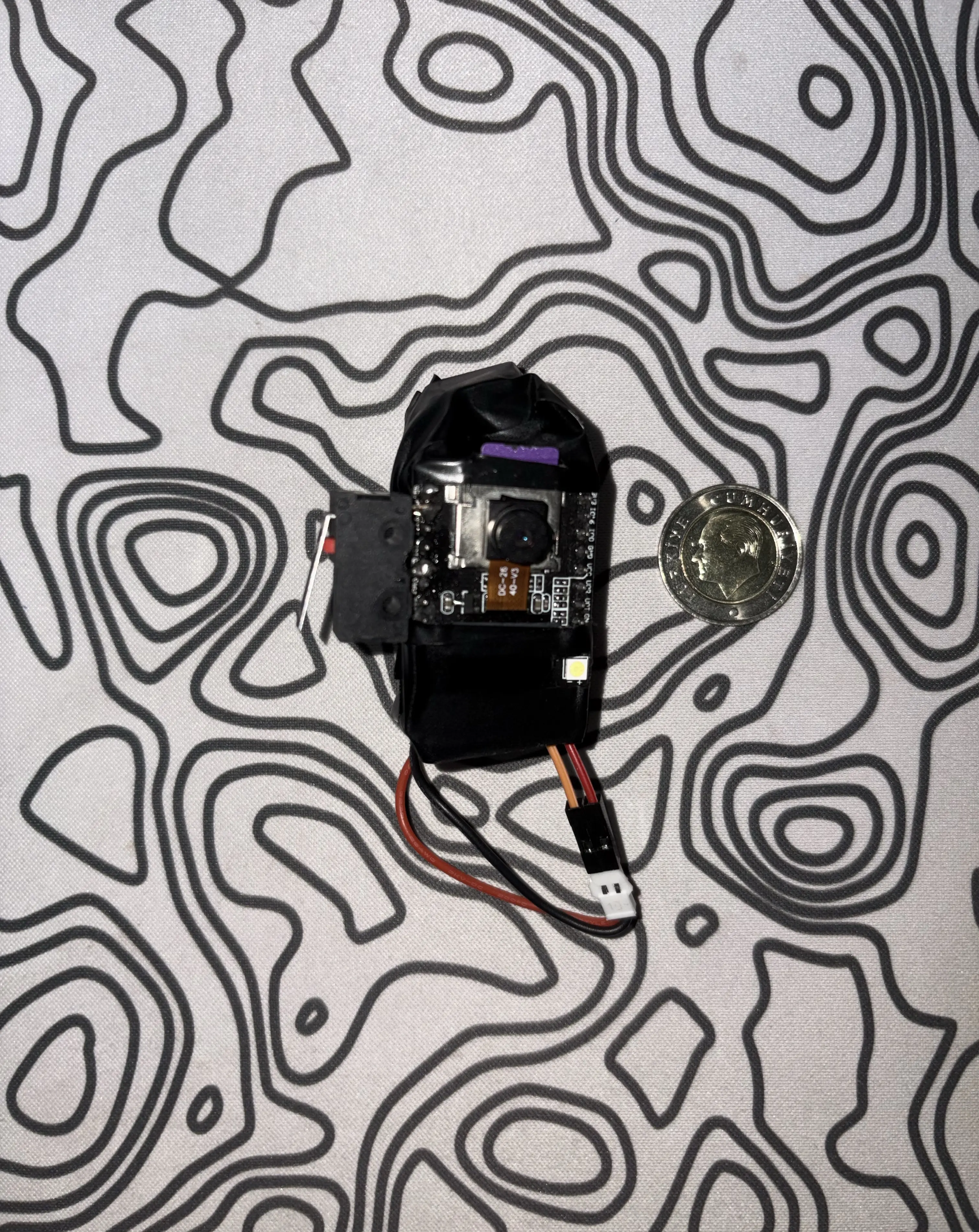 esp32-cam_camera Demo Image